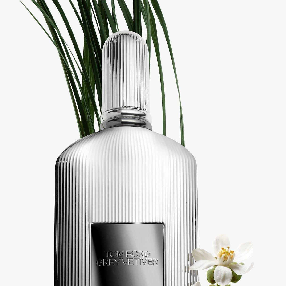 Tom Ford Grey Vetiver Eau De Perfume (100ml)