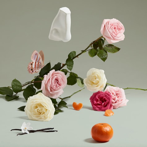 Penhaligon's The Coveted Duchess Rose Eau De Parfum