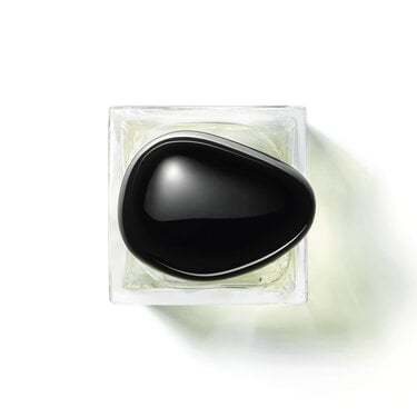 Giorgio Armani Thé Yulong for unisex (100ml)