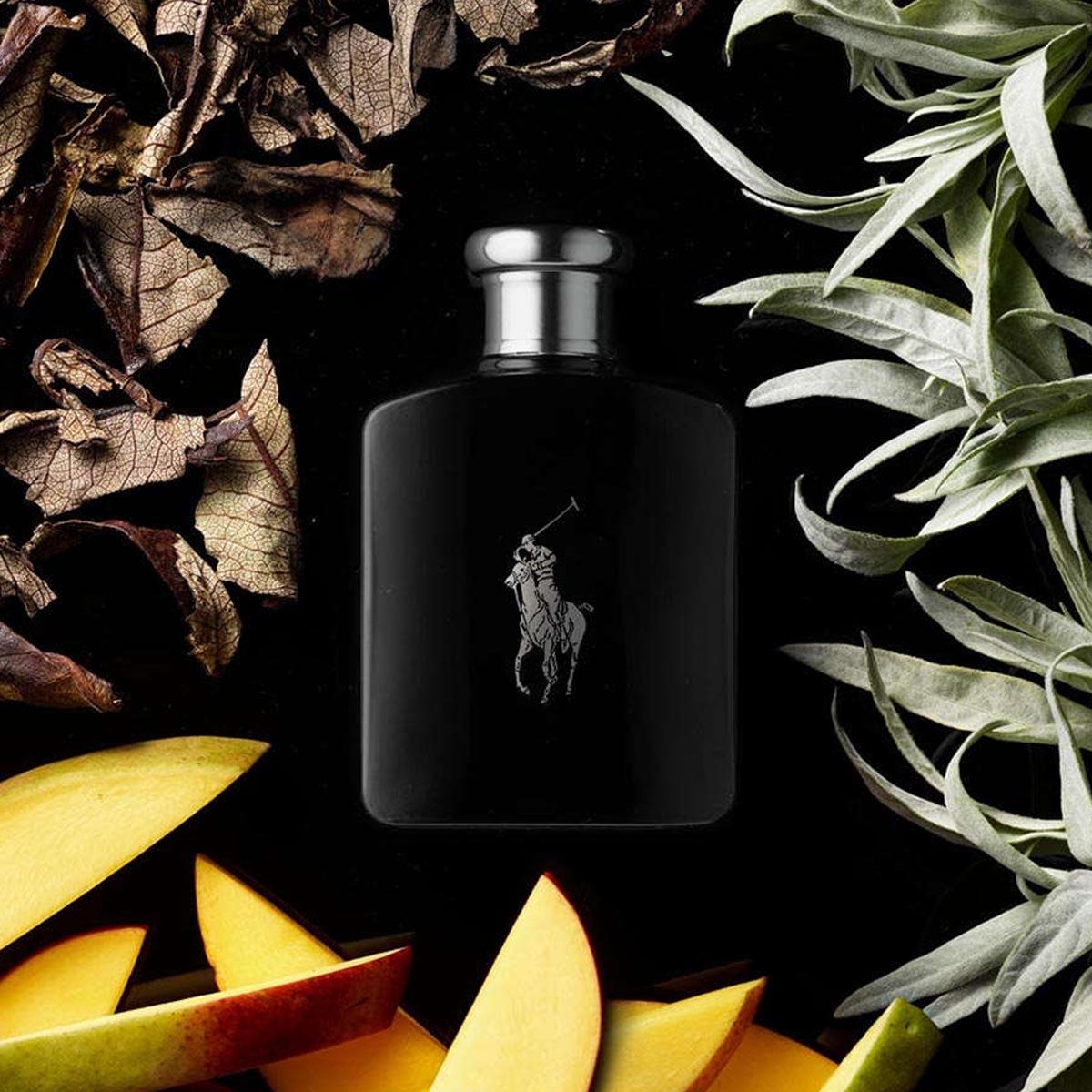 Ralph Lauren Polo Black Edt For Men 125Ml
