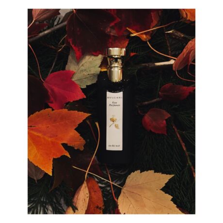 Bvlgari Eau Parfumee au The Noir for Unisex (75ml)