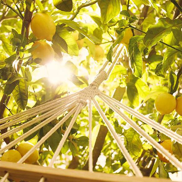 Maison Margiela Replica Under The Lemon Trees Eau De Toilette For Unisex (100ml)