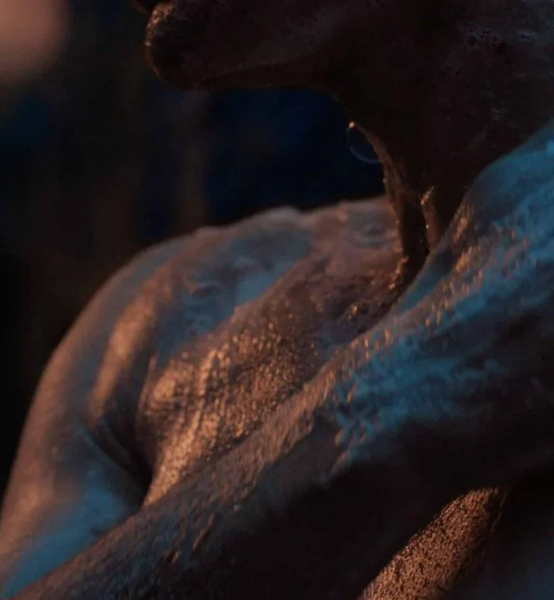 Dior Sauvage Shower Gel Shower Gel (250ml)