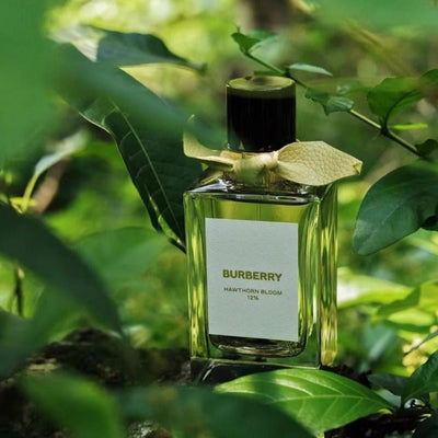 Burberry Signatures Hawthorn Bloom 12% eau de Parfum (100ML)