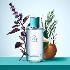 Tiffany Love Eau De Parfum Spray for her (90ml)